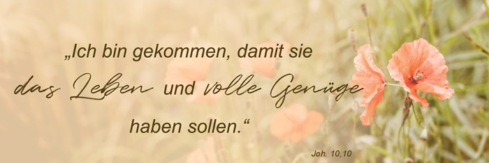 lagerversammlung.de